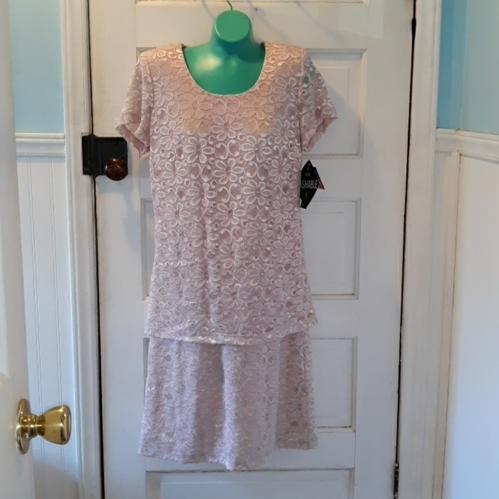 R&M Ruchards Petite 8 Mother of bride dress